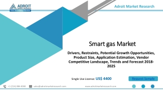 Smart Gas Market - Growth, Trends & Forecast 2019 - 2025