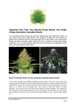 Important Info That You Should Know Before You Order Cheap Automatic Cannabis Seeds