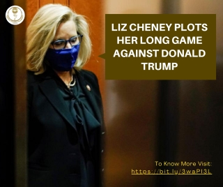 Cheney plots long game against Donald Trump, Michigan News Agency in Battle Creek