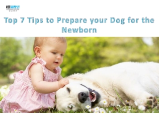 Top Seven Tips to Prepare Your Dog for The Newborn| VetSupply | Australia Best o