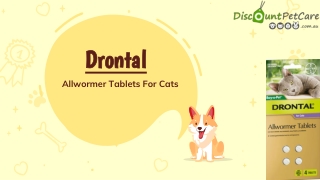 Buy Drontal Allwormer Tablets For Cats Online - DiscountPetCare