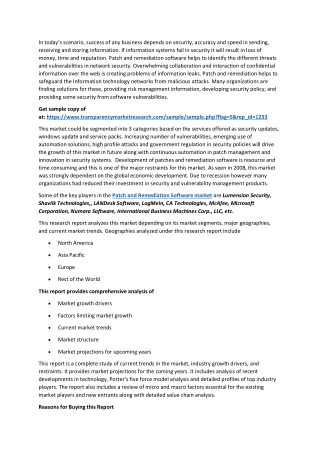 Patch and Remediation Software Market