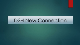 Choose the best DTH Connection