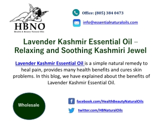 Lavender Kashmir Essential Oil – Relaxing and Soothing Kashmiri Jewel