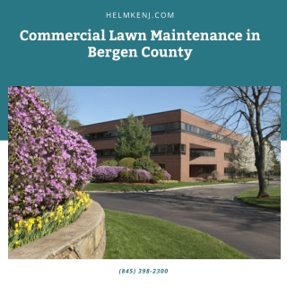 Commercial Lawn Maintenance in Bergen County