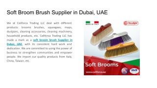 Soft Broom Brush Supplier in Dubai, UAE