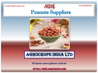 One of The Top Peanuts Suppliers in India