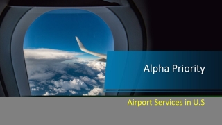 Meet and Greeters Airport  Services in US | Alpha Priority