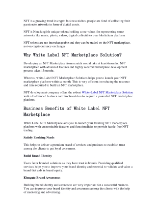 White Label NFT Marketplace Development