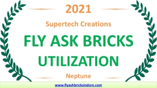 Fly Ash Bricks Utilization Neptune - Supertech Creations