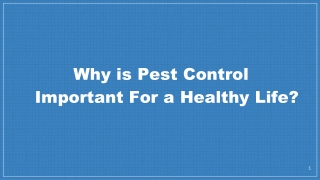 Why is Pest Control Important For a Healthy Life?