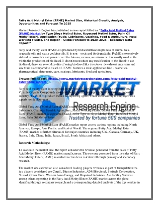 Fatty Acid Methyl Ester (FAME) Market