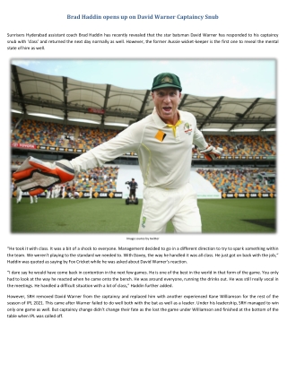 Brad Haddin opens up on David Warner Captaincy Snub