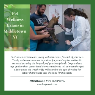 Pet Wellness Exams in Middletown NY