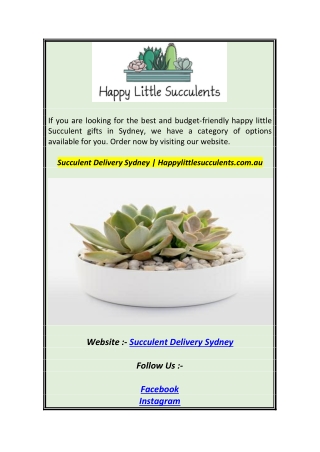 Succulent Delivery Sydney  Happylittlesucculents.com.au