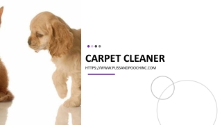 Carpet Cleaner Odor Remover
