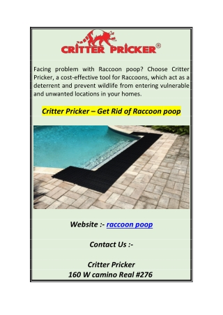 Critter Pricker  Get Rid of Raccoon poop