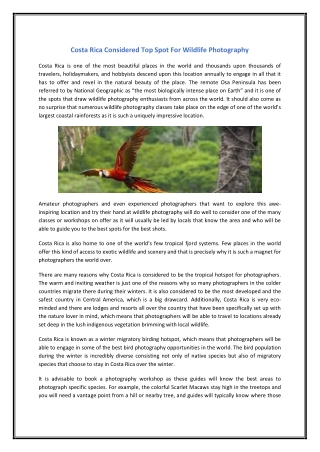 Costa Rica Considered Top Spot For Wildlife Photography