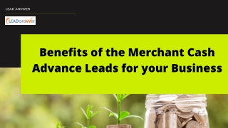 Merchant Cash Advance Leads