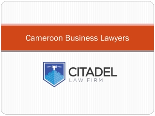 Cameroon Business Lawyers