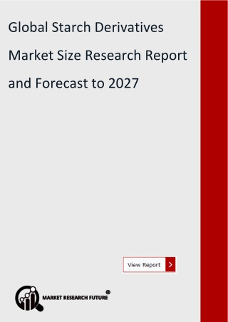 Starch Derivatives Market Size 2020