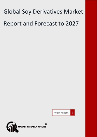 Global Soy Derivatives Market  2027