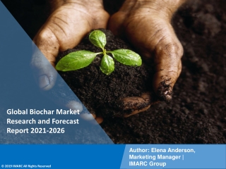 Biochar Market PDF 2021-2026: Size, Share, Trends, Analysis & Research Report