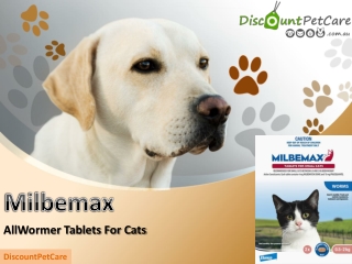 Buy Milbemax Allwormer For Cats Online - DiscountPetCare