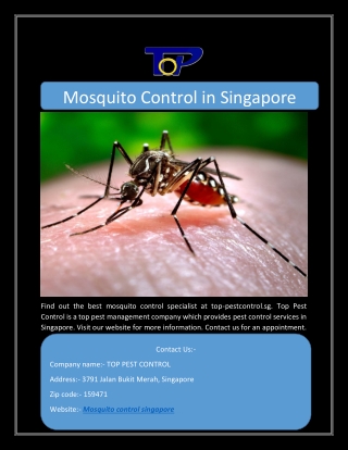 Mosquito Control in Singapore