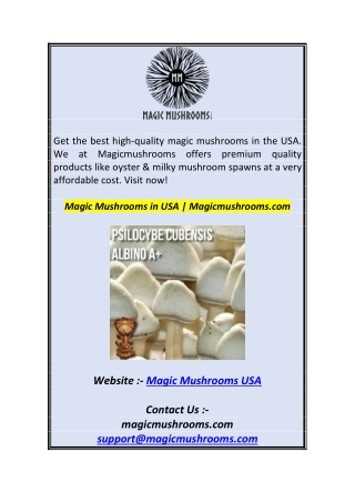 Magic Mushrooms in USA  Magicmushrooms.com