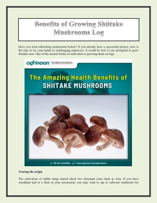 Benefits of Growing Shiitake Mushrooms Log