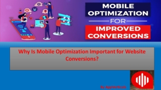 Why Is Mobile Optimization Important for Website Conversions?