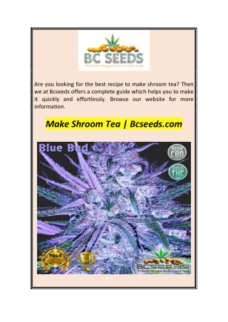 Make Shroom Tea  Bcseeds.com
