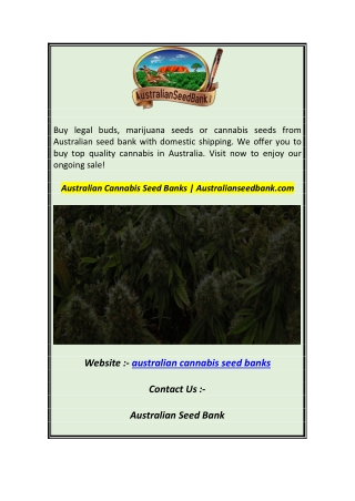 Australian Cannabis Seed Banks  Australianseedbank.com