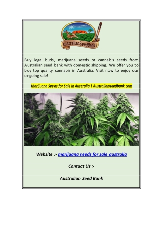 Marijuana Seeds for Sale in Australia  Australianseedbank.com