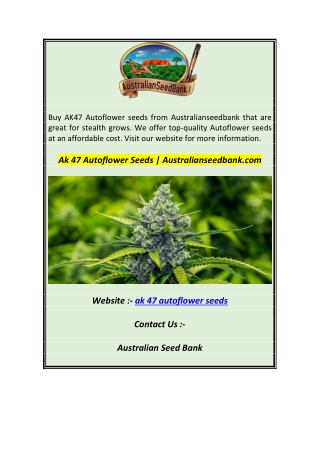 Ak 47 Autoflower Seeds  Australianseedbank.com