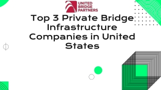 Top 3 Private Bridge Infrastructure Companies in the United States