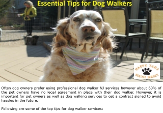 Essential Tips for Dog Walkers