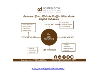 SEO Service in Pune