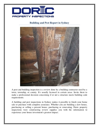 Timber Pest Inspection Report