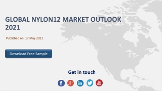 Global Nylon12 Market Outlook 2021