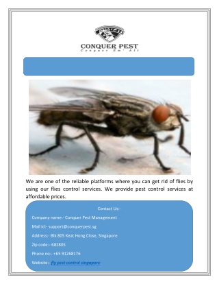 Fly Pest Control Singapore | Conquer Pest