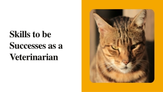 Skills to be Successes as a Veterinarian