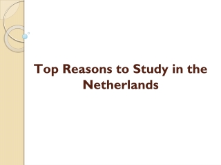 Top Reasons to Study in the Netherlands