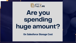 Are you spending huge amount on Salesforce Storage Cost?