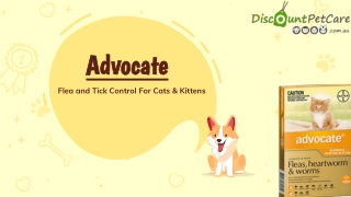 Buy Advocate For Cats and Kittens Online - DiscountPetCare