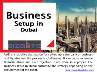 LLC company registration in Dubai-Bizgatebss