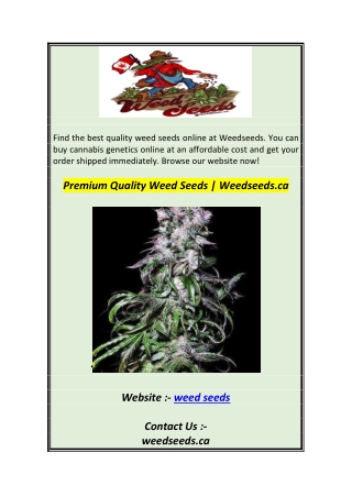 Premium Quality Weed Seeds  Weedseeds.ca