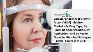 Global Vascular Endothelial Growth Factor (VEGF) Inhibitor Market Opportunities