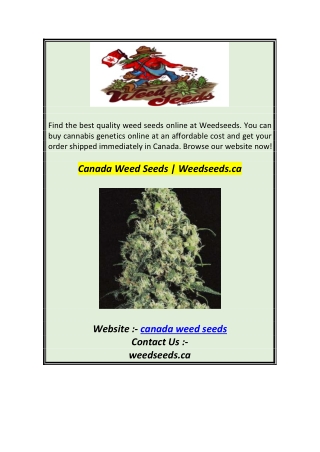 Canada Weed Seeds  Weedseeds.ca